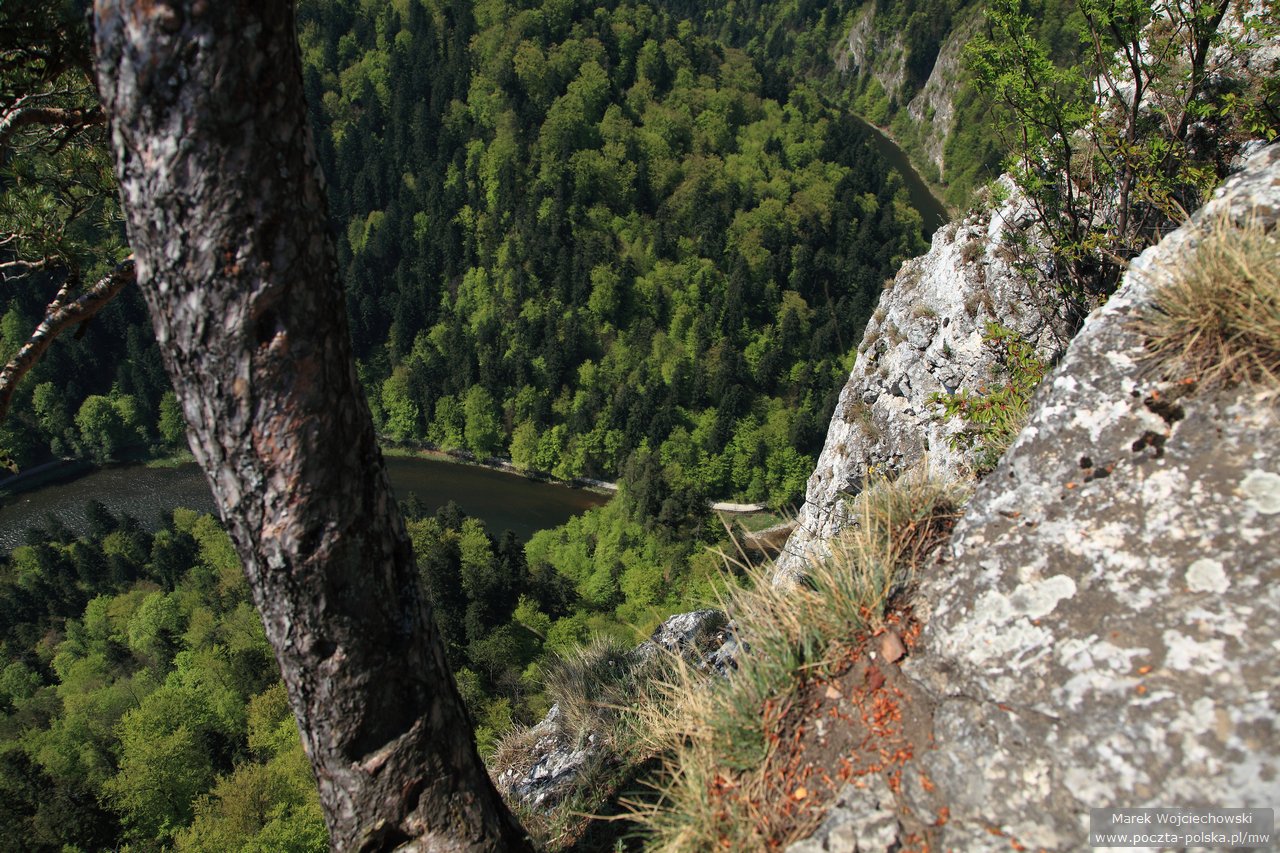Pieniny - Sokolica